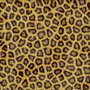 Leopard fur texture