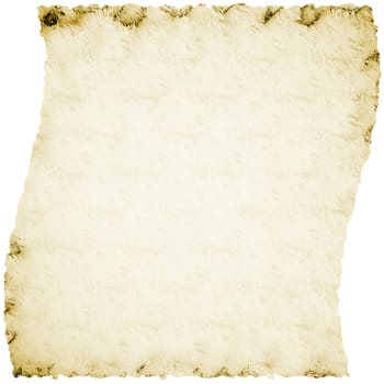 Papyrus isolated in white