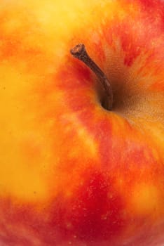 Ripe  apple which has been removed in studio. A close up