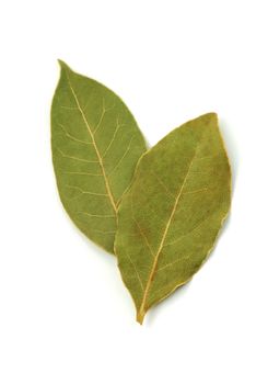 Two dry bay leaves  on white background.  
