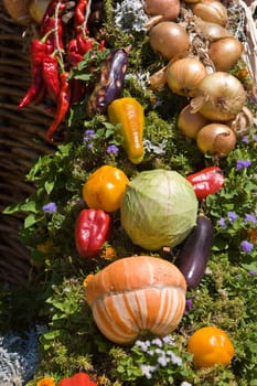 food series: summer fresh vegetables decoration