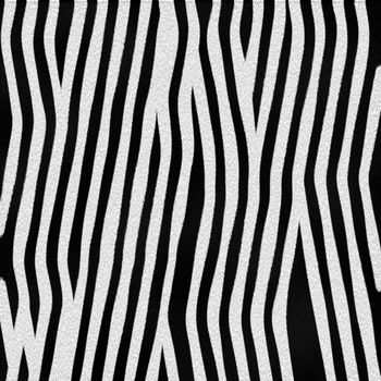 Zebra fur texture