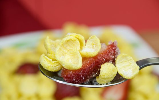 macro on a spoon full of cereals with strawberries