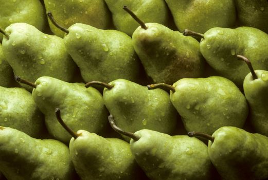 Bartlet pears lined up sprinkled with water