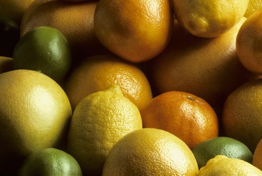 Mixed fresh citrus fruit including oranges, lemons, limes and grapefruits