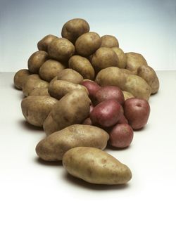 A pile of various types of potatoes
