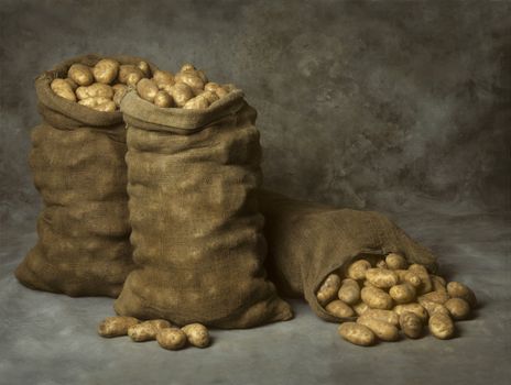 Three Burlap Sacks of Potatoes