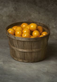 Bushel basket of fresh California oranges on a canvas background