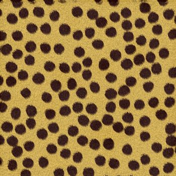 Cheetah texture