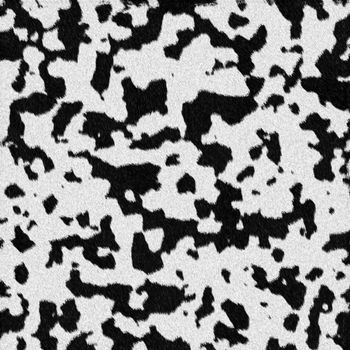 Dalmatian dog fur texture