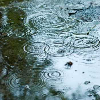 Rain drops rippling background