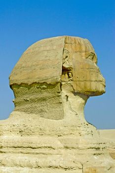 The famous Egyptian Sphinx on a background of blue sky.