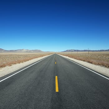 Strip of highway stretching towards horizon under clear blue sky.