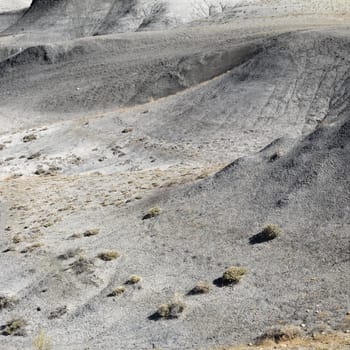 Sandy desert landscape of Cottonwood Canyon, Utah.