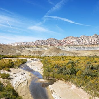 Small stream running through desert land in Cottonwood Canyon, Utah.