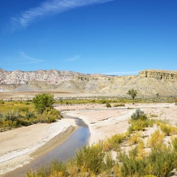 Small stream running through desert land with rocky cliffs in background in Cottonwood Canyon, Utah.