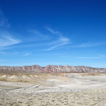 Desert landscape with rocky cliffs in background in Cottonwood Canyon, Utah.