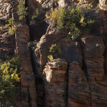 Rocky cliffs with vegetation in Zion National Park, Utah.