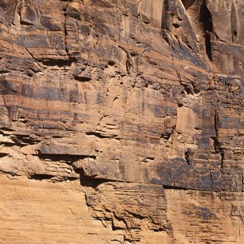 Close-up of red rock wall in Utah.