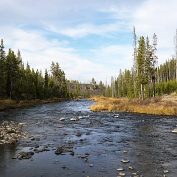 Landscape with shallow stream in Yellowstone National Park, Wyoming.