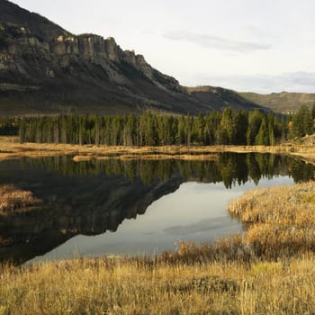 Wyoming mountains reflected in lake surrounded by golden field.