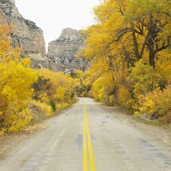 Country road leading to mountain range with yellow Aspen trees on both sides.