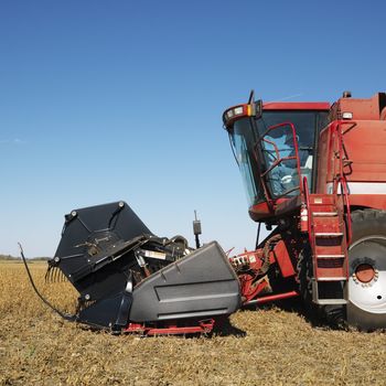 Side view of combine harvesting soybean field.