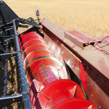 Close-up of combine rasp bars harvesting soybeans.