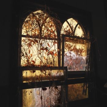 Sunlight glowing through dilapidated arched windows covered in vines creating dreamy mood.