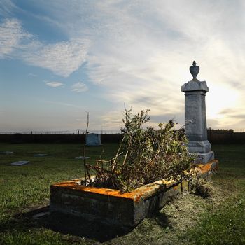 Memorial in rural cemetary with plants.