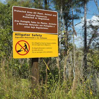 Alligator safety sign in Everglades National Park, Florida, USA.