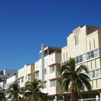 Palm trees and buildings in art deco district of Miami, Florida, USA.