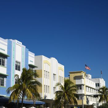 Palm trees and buildings in art deco district of Miami, Florida, USA.