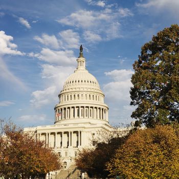 Capitol Building in Washington, DC, USA.