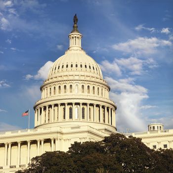 Capitol Building in Washington, DC, USA.