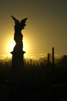 angel silhouette, black and yellow tonality; sydney cemetery