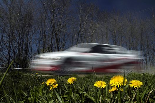 blurred speeding rally car, dandelions in front, trees in background
