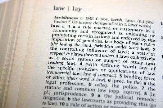 the meaning of the law looked up in the dictionary