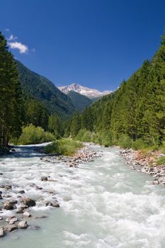 summer view of a beautiful stream Trentino, Italy. Photo taken with polarized filter