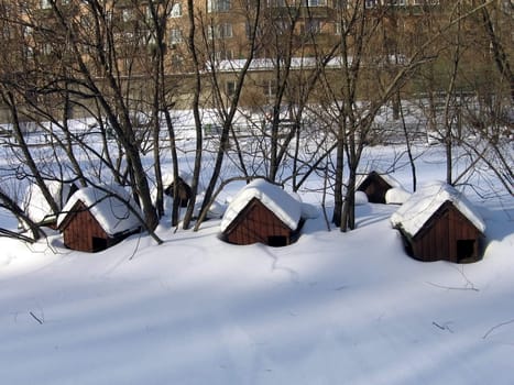 Three duck houses in zoo covered with snow
