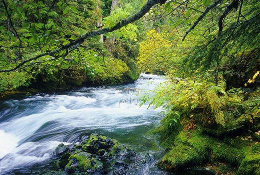 View of the beautiful McKenzie River winding through the forest in central Oregon.