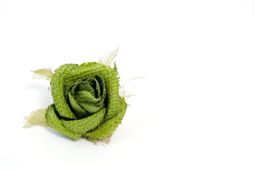 green rose on white background with copy space