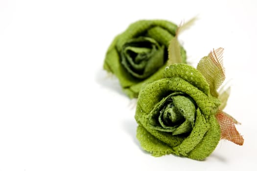green roses on white background with copy space