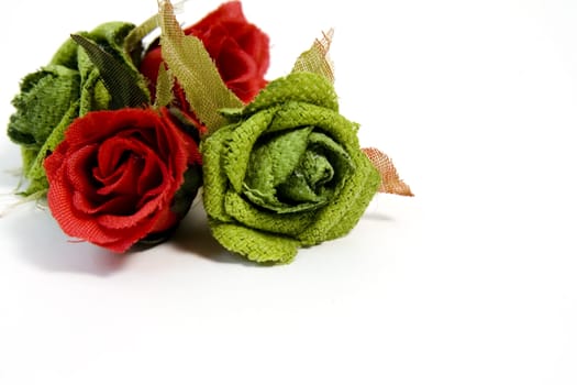 red and green roses on white background with copy space