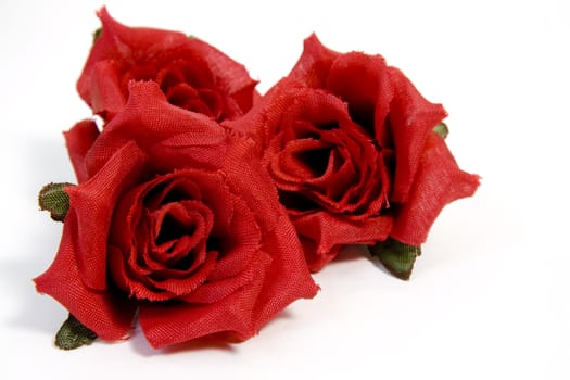 red roses on white background with copy space