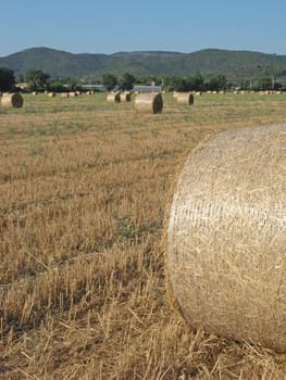 View of some hayrolls in a field