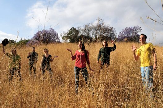 Six happy friends wave from deep within a field of tall dry grass