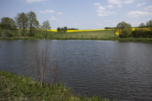 Yellow oilseed rape and lake in southern Poland