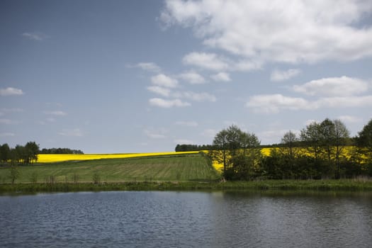 Yellow oilseed rape and lake in southern Poland