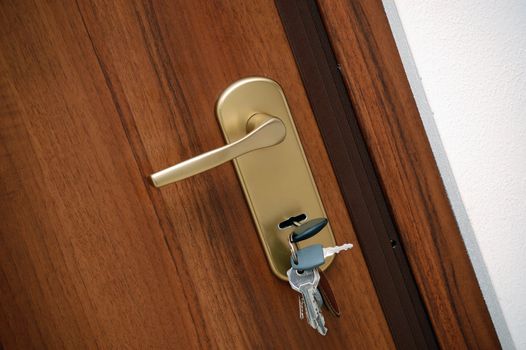 modern door handle closeup with the keys